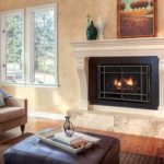 MENDOTA HEARTH | D Series Insert